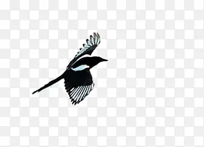 ϲȵ����ͼƬ-������