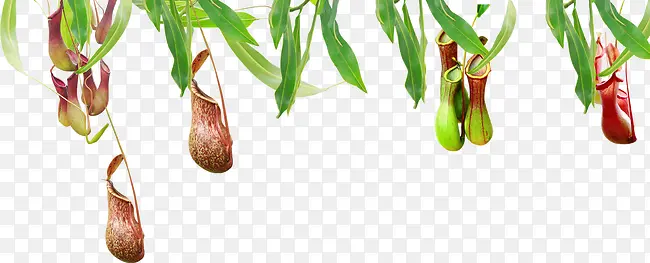 ֦ͷ���ҹ����߲�-������