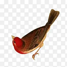 �ֻ�ϲȵ-������