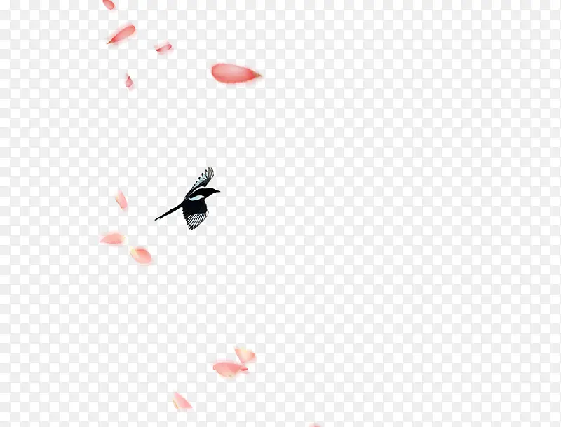 ϲȵ-������