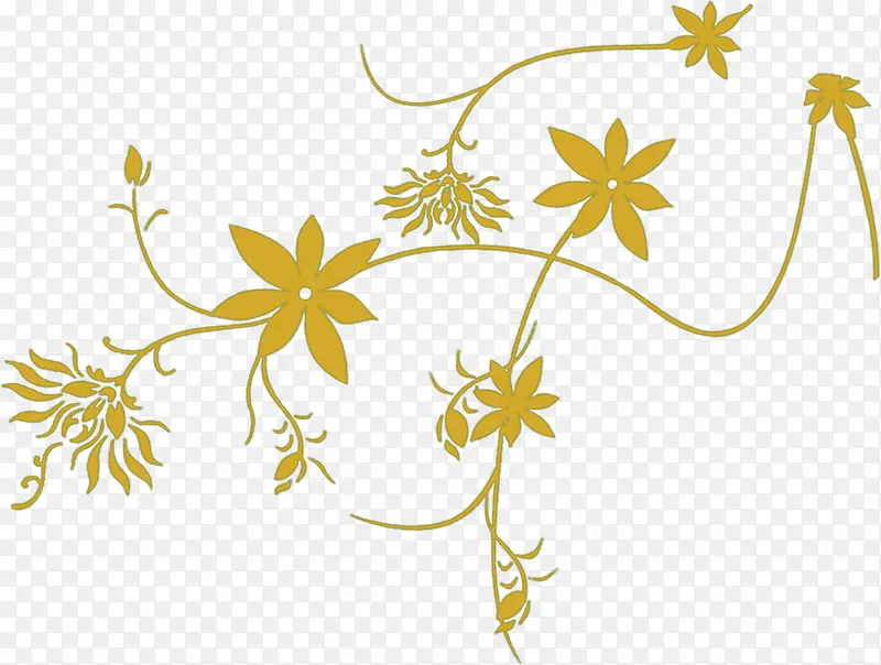 ֦ͷ�Ļ��ز�-������