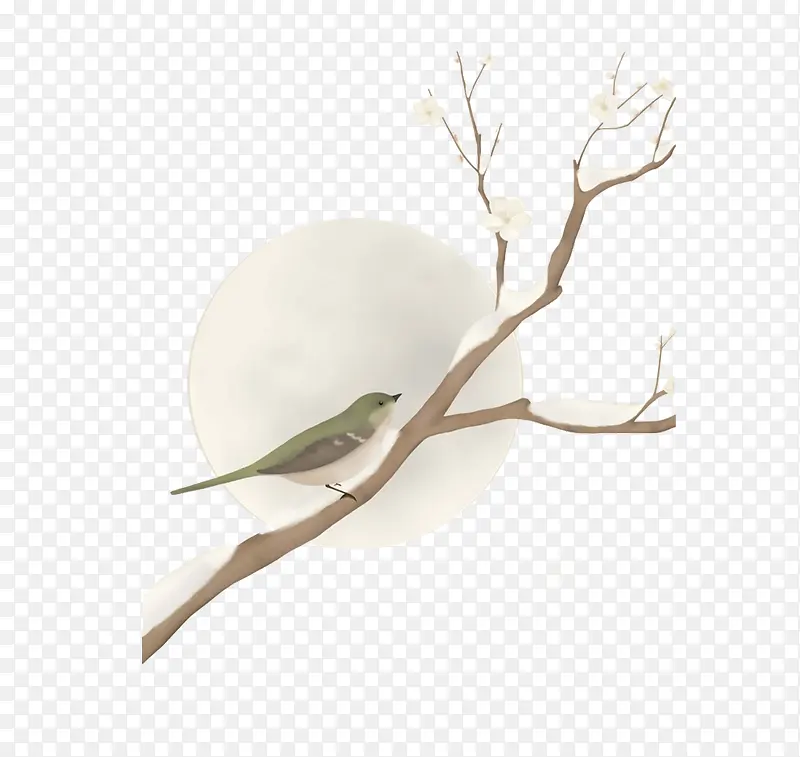 ϲȵ��֦-������