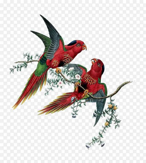 ����-������