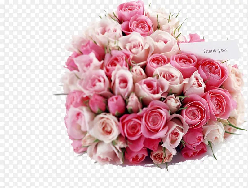 ������״����ֲ��-������