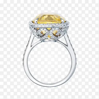 �Ʊ�ʯ��ָ-������