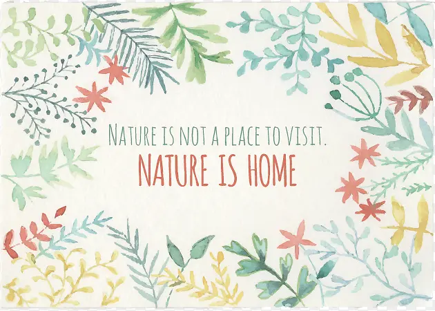 ��ˬ����ˮ��Ҷ�Ӻϼ�-������