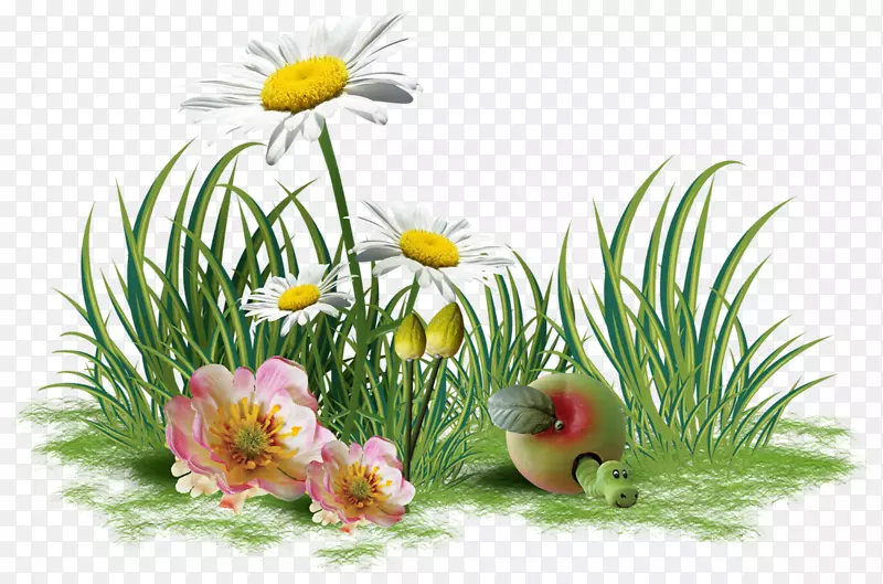 ���ܼ�����-��л-������