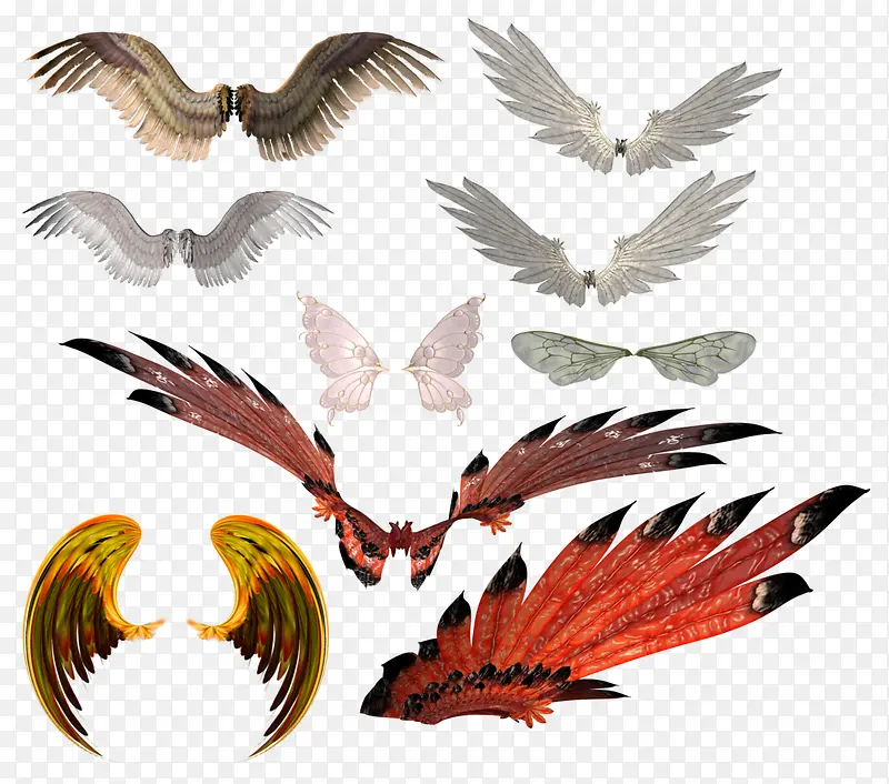 ���ϼ�-������