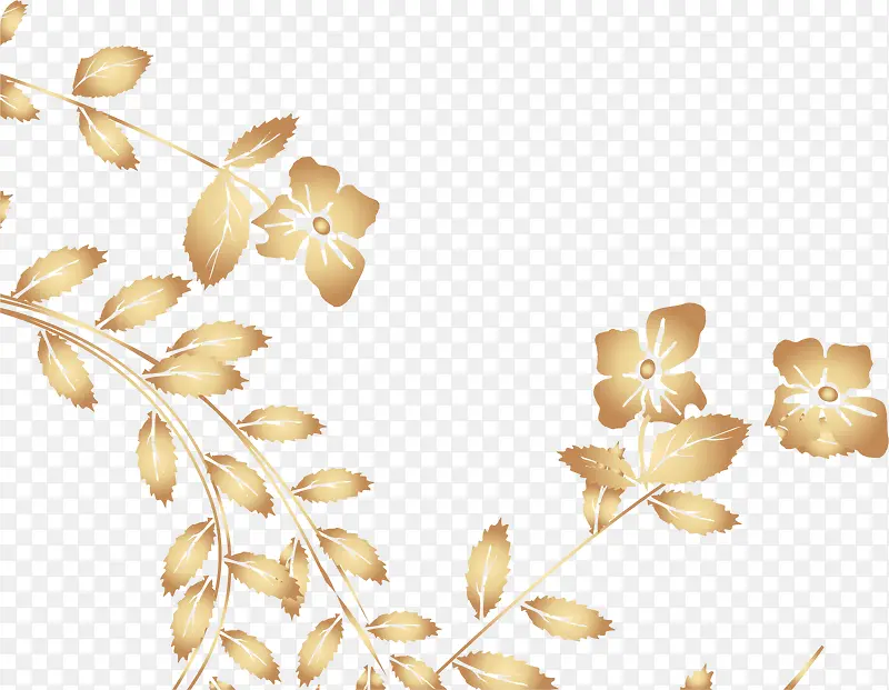 ��ɫ����-������