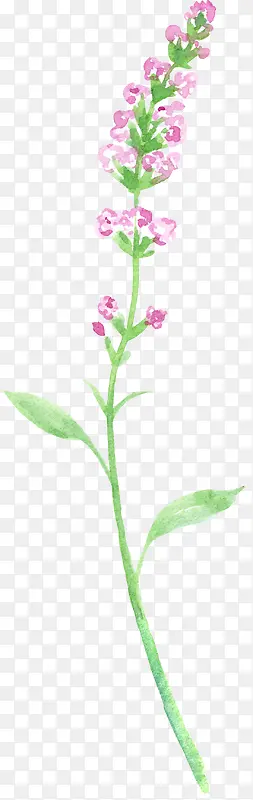 ��ɫˮ��С����-������