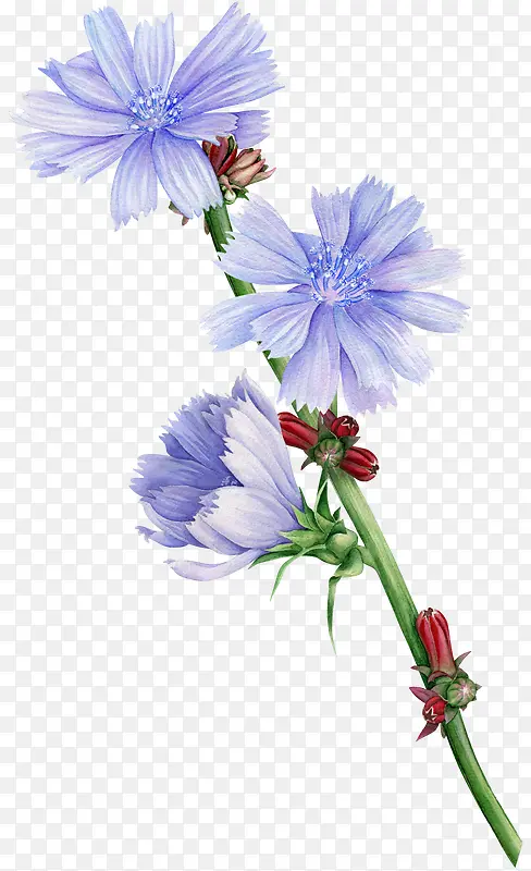 �ֻ滨��-������