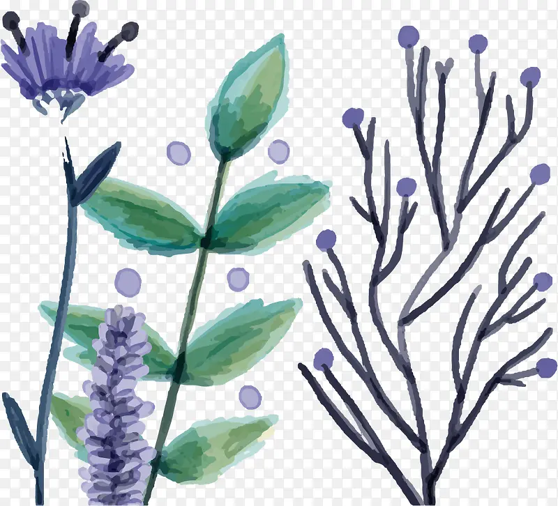 ʸ����ͨ��ɫˮ��޹�²�-������