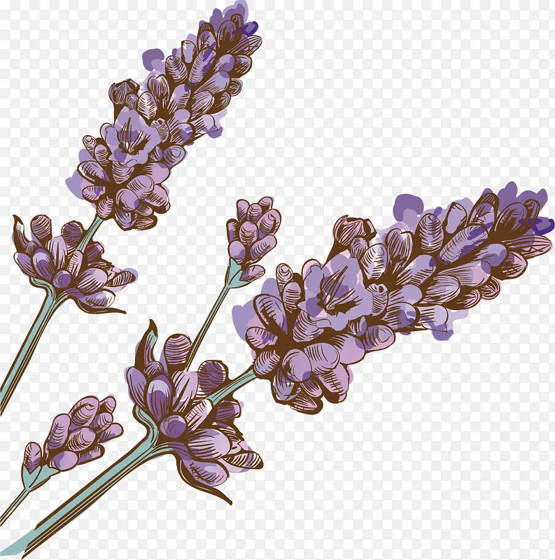 ��ͨ޹�²�-������