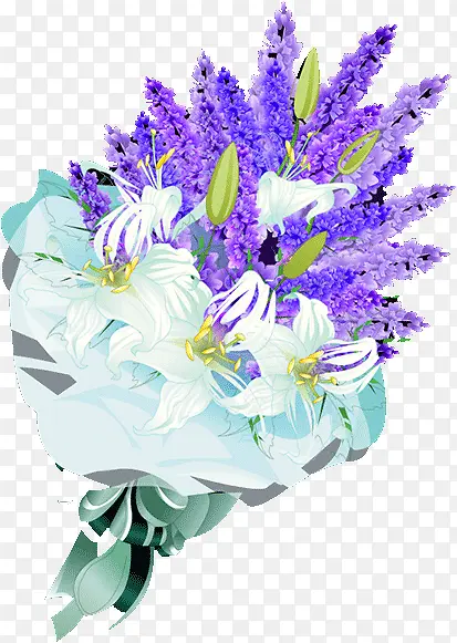 ޹�²�-������