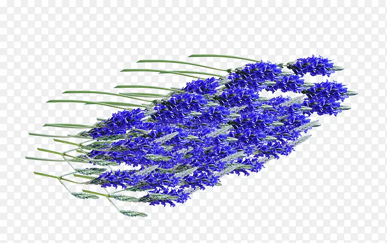 ��ɫ޹�²�-������