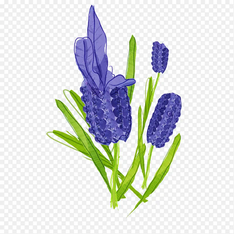 ��ɫ޹�²ݿ�ʽ-������