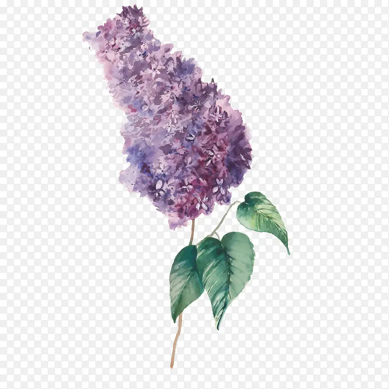 ��ɫ޹�²�-������