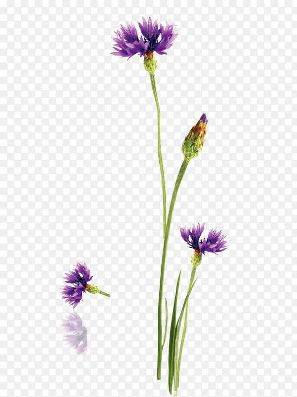 ��ͨ�ֻ���ɫ��-������