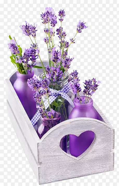 ��ɫ޹�²�-������