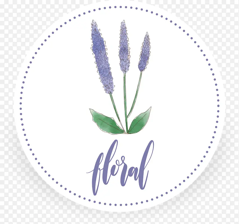 ʸ��޹�²�-������