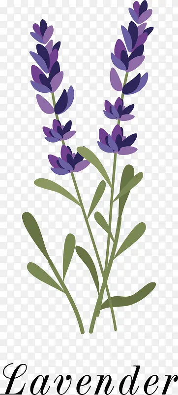 ʸ��޹�²�-������