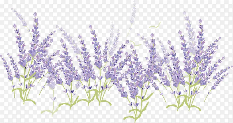 ʸ��޹�²�-������