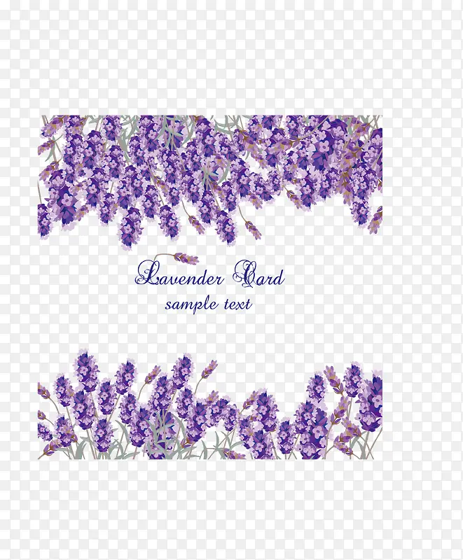 ʸ����ɫ޹�²�-������