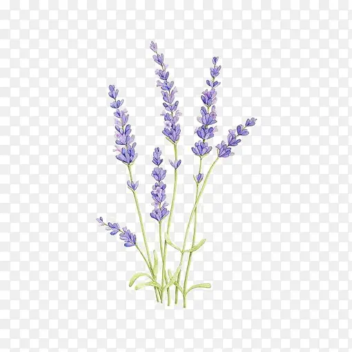 �ֻ�޹�²�-������