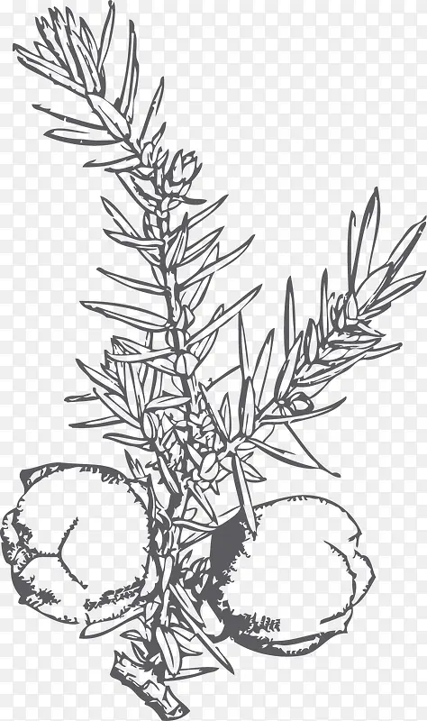 �ֻ���ڰ�޹�²�-������