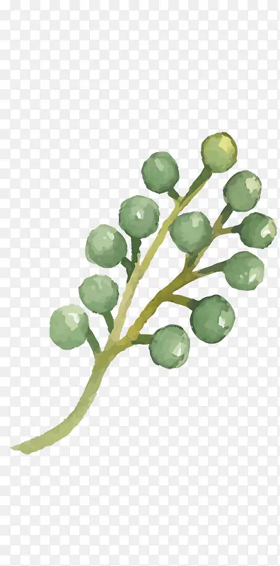 ˮ��ֲ��-������