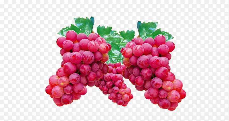 ��ͨ����-������