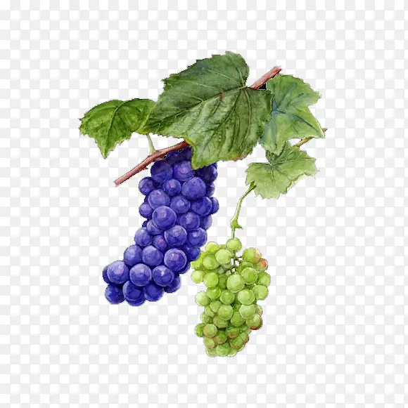 �ֻ�����-������