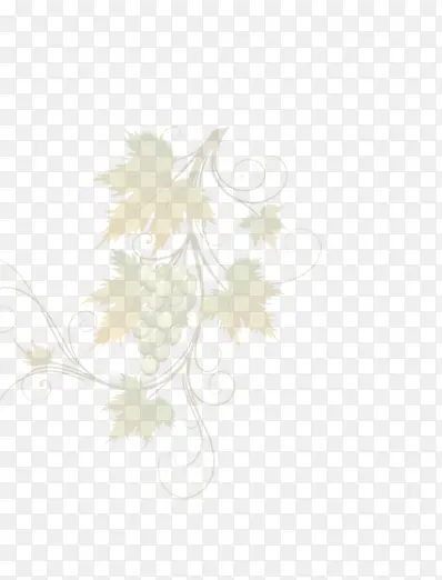 �ֻ�����-������