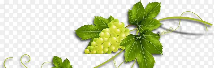 ����-������