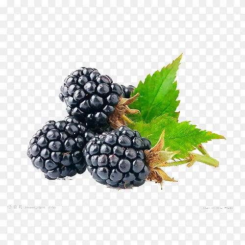 ˮ������-������