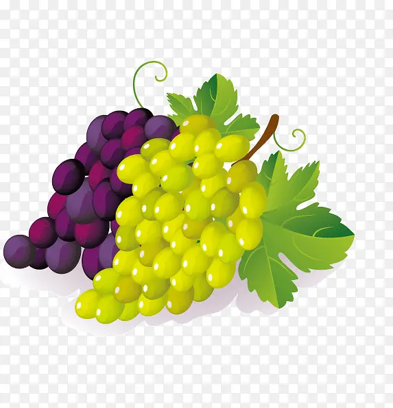 �ֻ�����-������