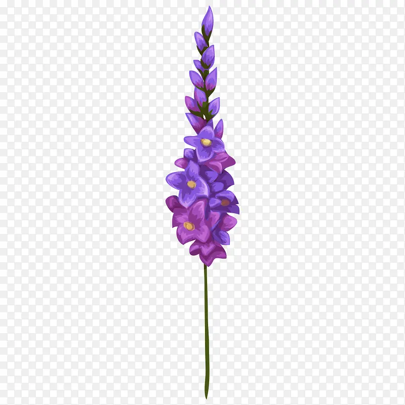 ��ֲͨ����ɫ޹�²�-������