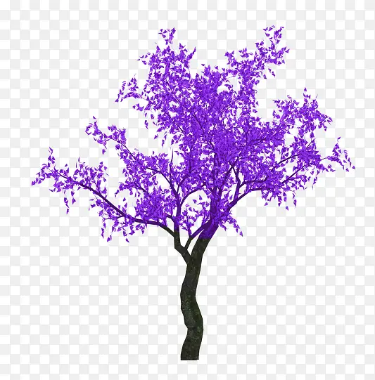 ��ɫ����-������