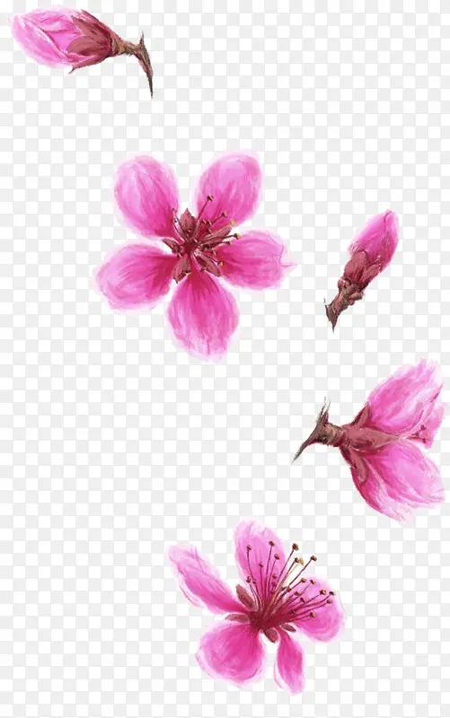 ��ɫˮ�ʻ���-������