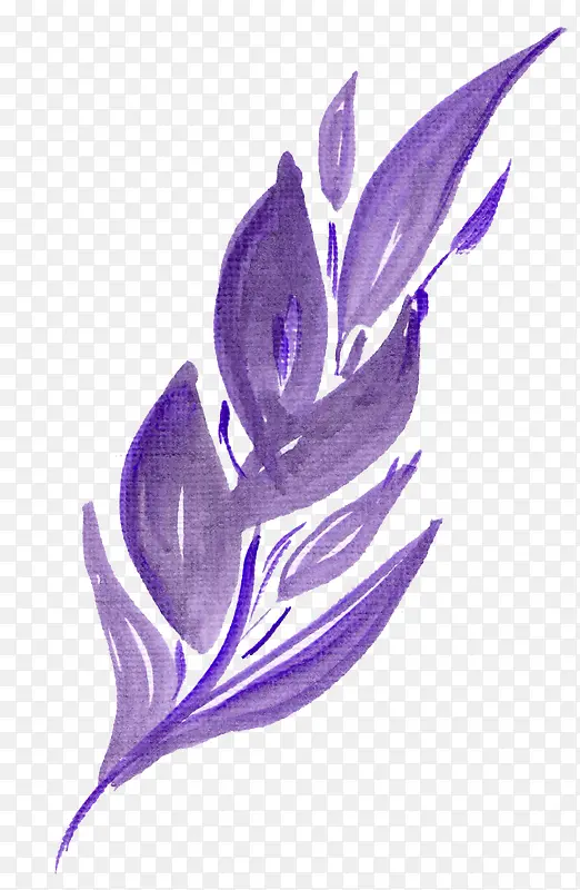 ˮ��Ҷ��-������