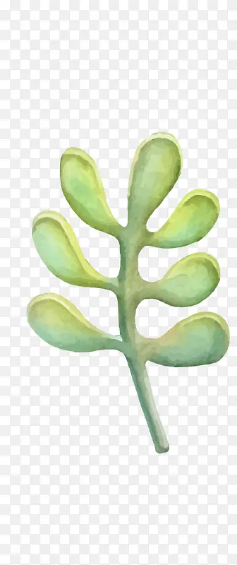 ˮ��ֲ��-������