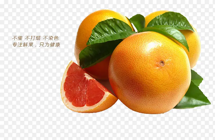 ����������ز�����ز�-������