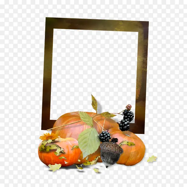 �Ϲ�����ľ�ʱ߿�-������