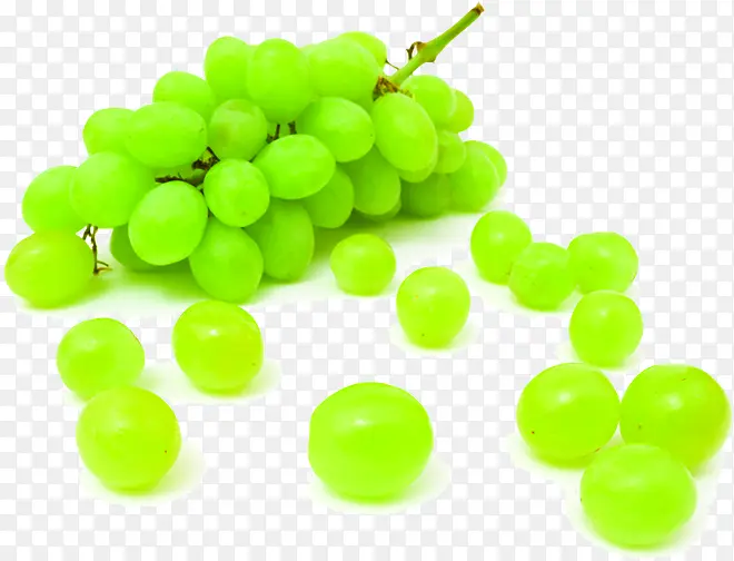 ����ˮ��ֲ������-������