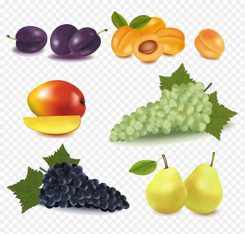 ˮ��ʸ�����-������