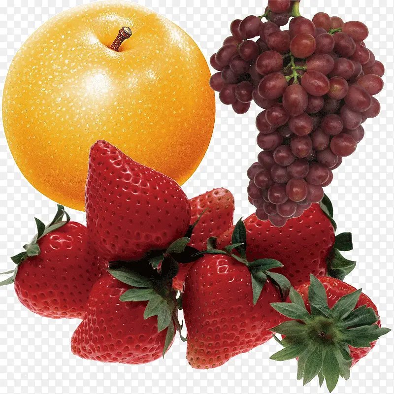 ��ݮ������PNGʸ���ز�-������