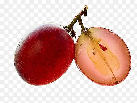 ������Ӱ��Ө��͸������-������