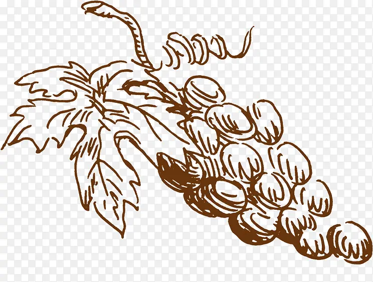 �ֻ�ŵ����Ѵ���-������