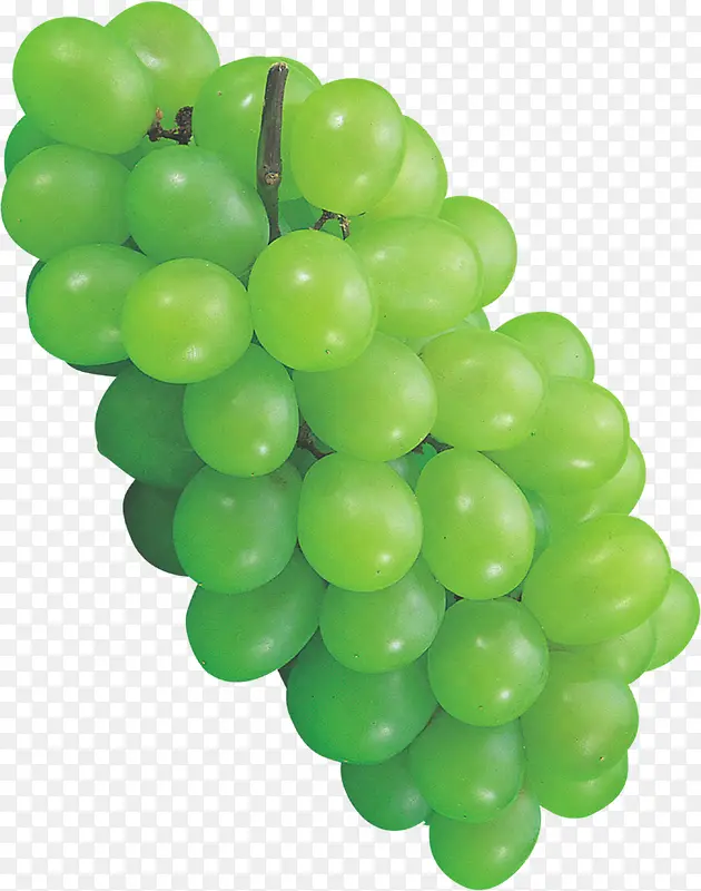 ��ɫ���Ѹ�����Ӱ-������