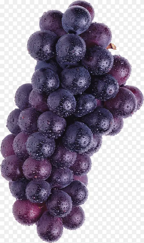 ������Ӱ��ɫ���Ѿ�Ө��͸-������